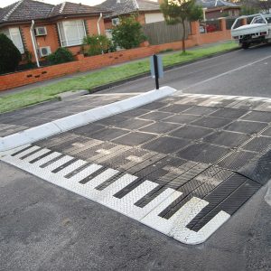 Speed Cushion